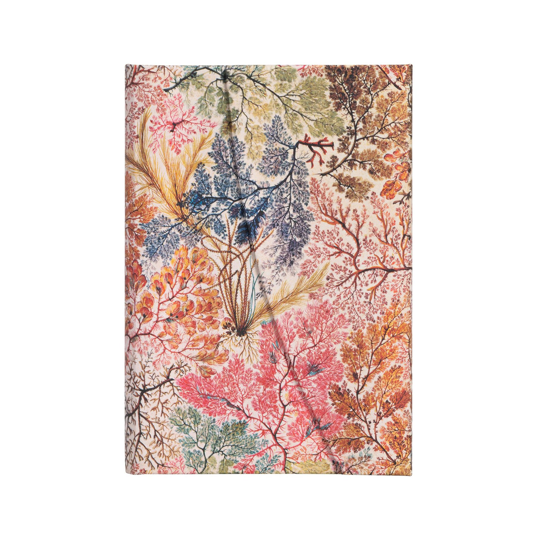 Paperblanks Notebook Anemone, Mini, ruled, hardcover, 88 sheets
