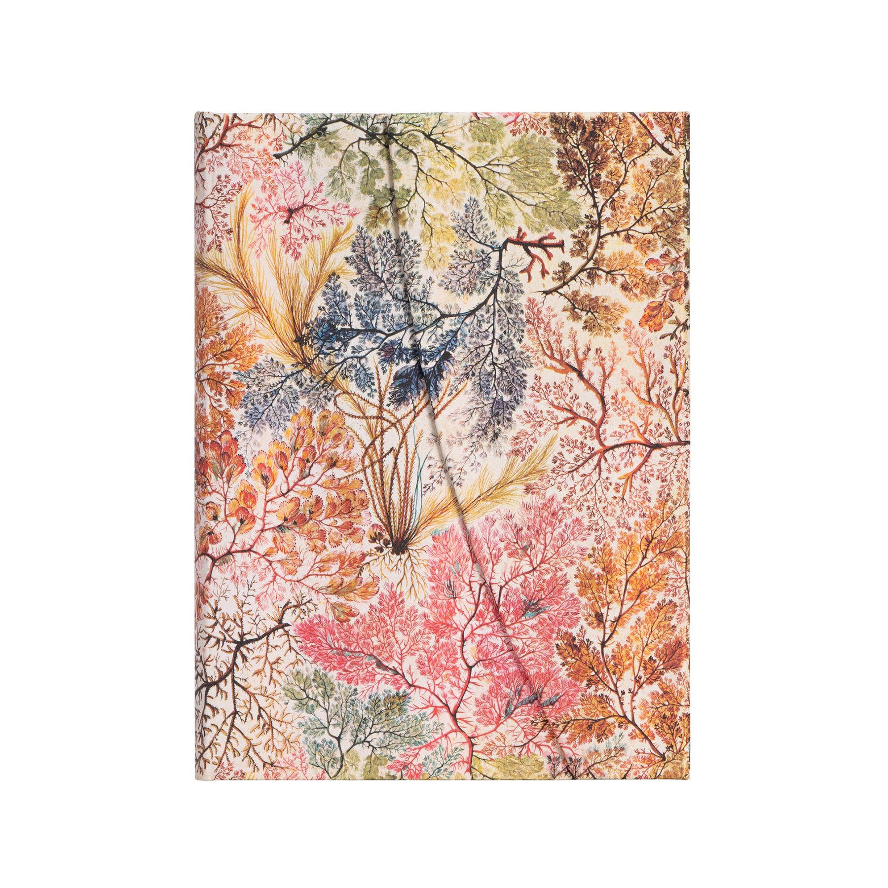 Paperblanks Notebook Anemone, Midi, wide ruled, hard cover, 72 sheets