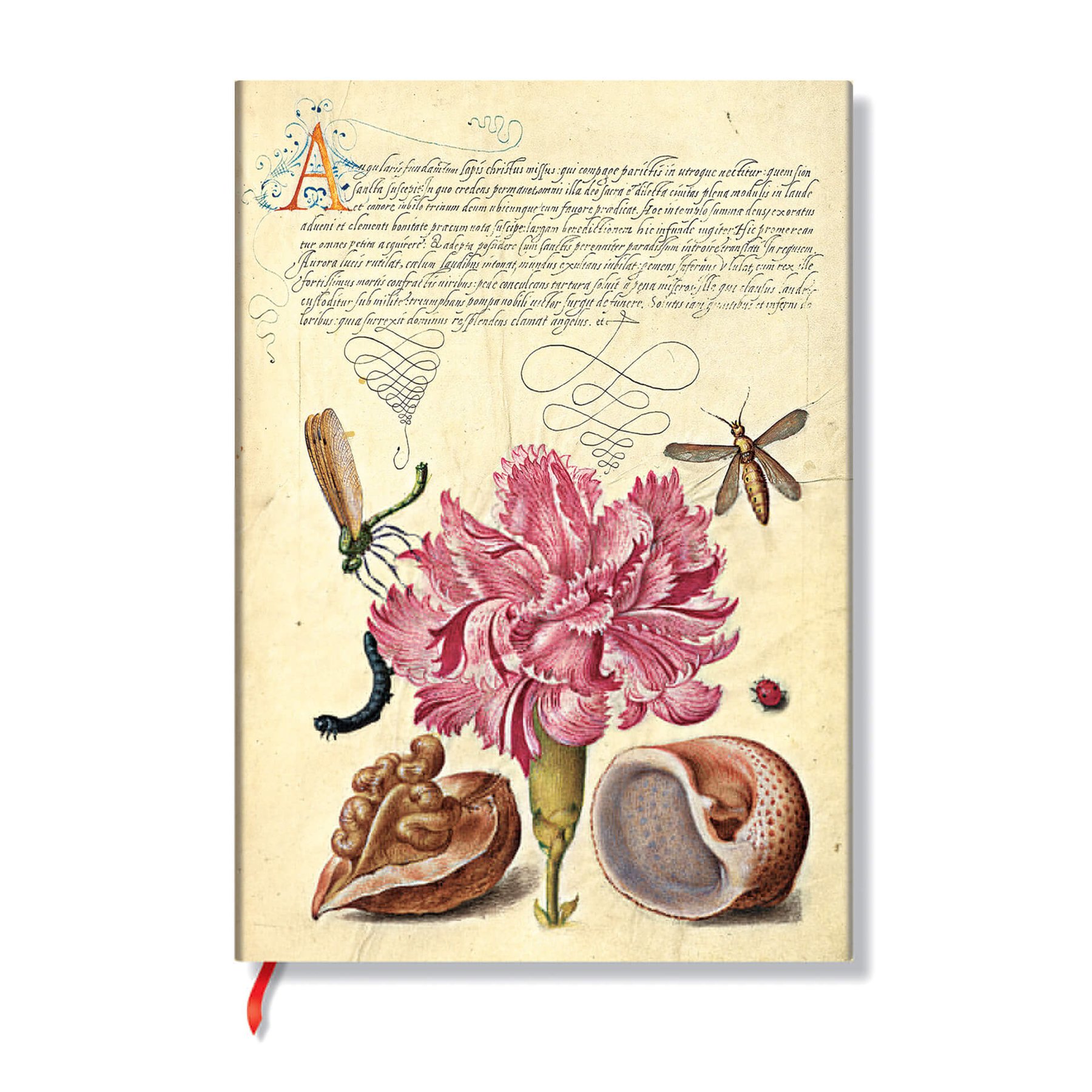 Paperblanks Notebook Pink Carnation, Midi, lined, softcover, 88 sheets