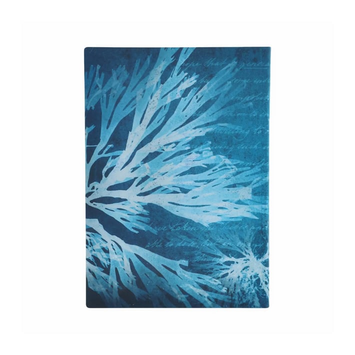 Paperblanks Тефтер Sea Flowers, Midi, мека корица, нелиниран, 88 листа