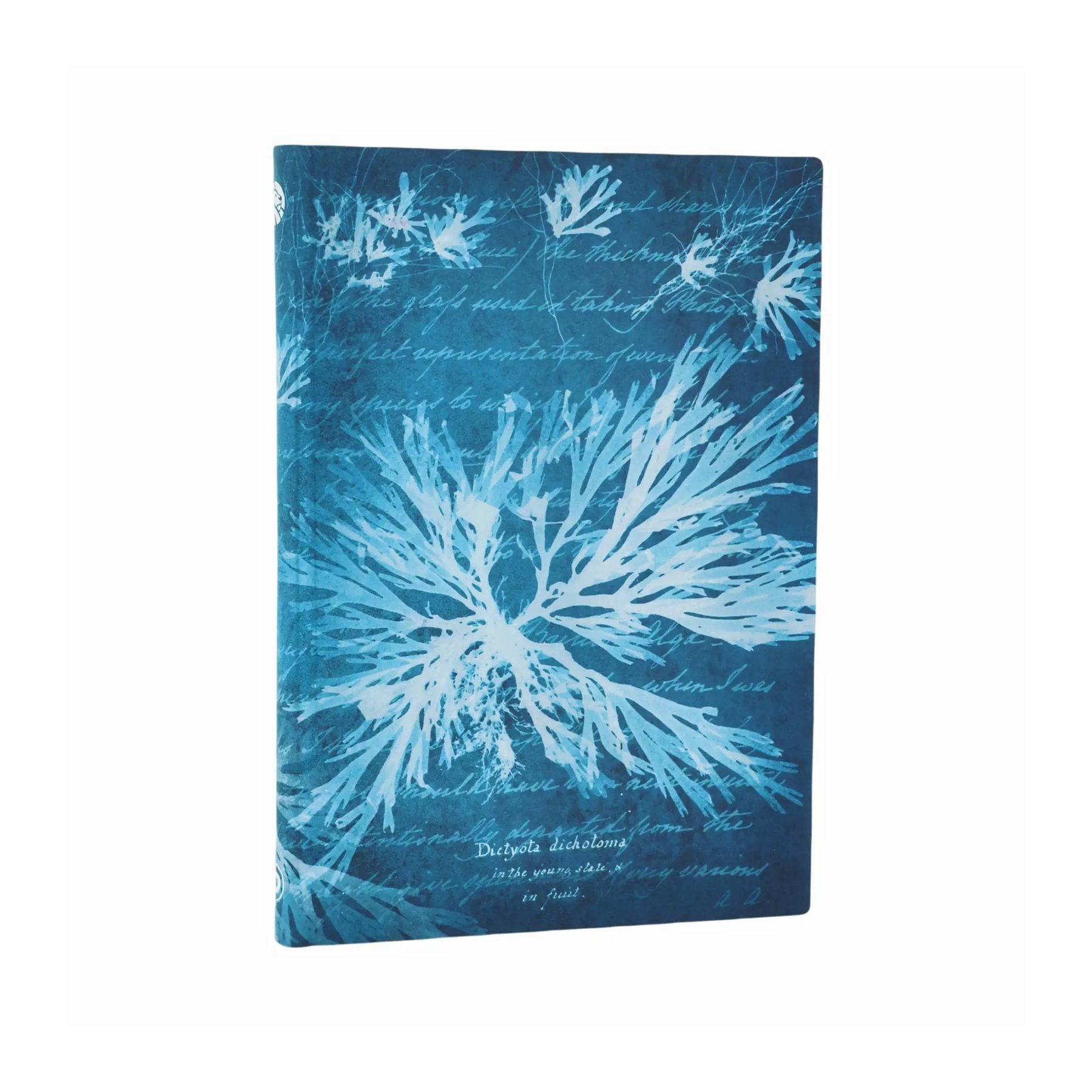Paperblanks Journal Sea Flowers, Midi, softcover, wide ruled, 88 sheets