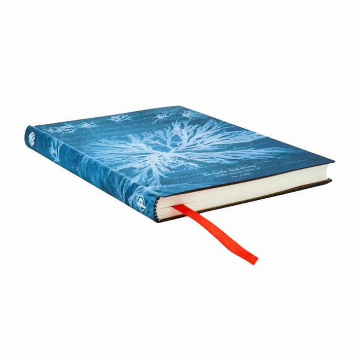 Paperblanks Тефтер Sea Flowers, Ultra, мека корица, нелиниран, 88 листа