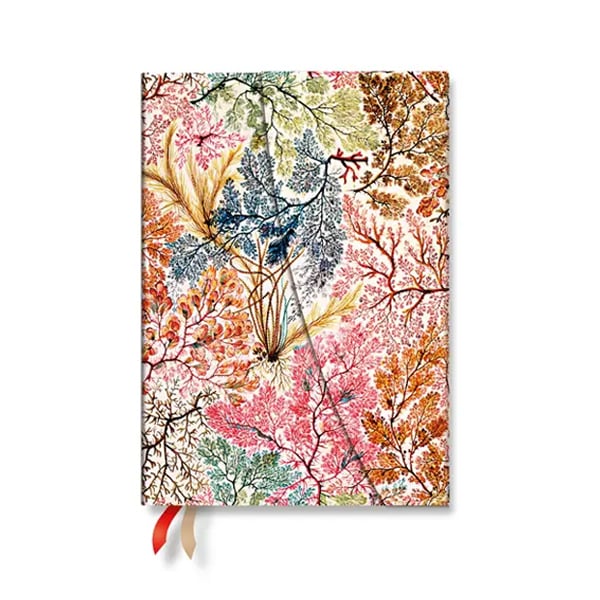 Paperblanks Planner Anemone, Midi, horizontal, hardcover, 88 pages, for 2027