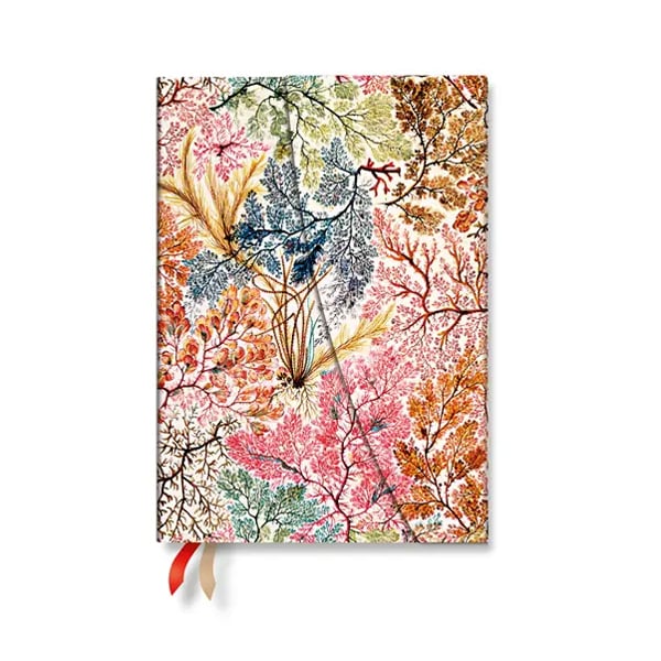 Paperblanks Planner Anemone, Midi, Verso, hardcover, 88 pages, for 2027