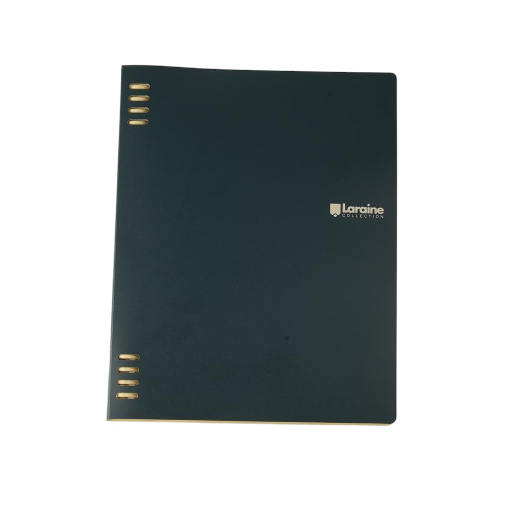 Sworld Organizer, B5, with 5 dividers, green