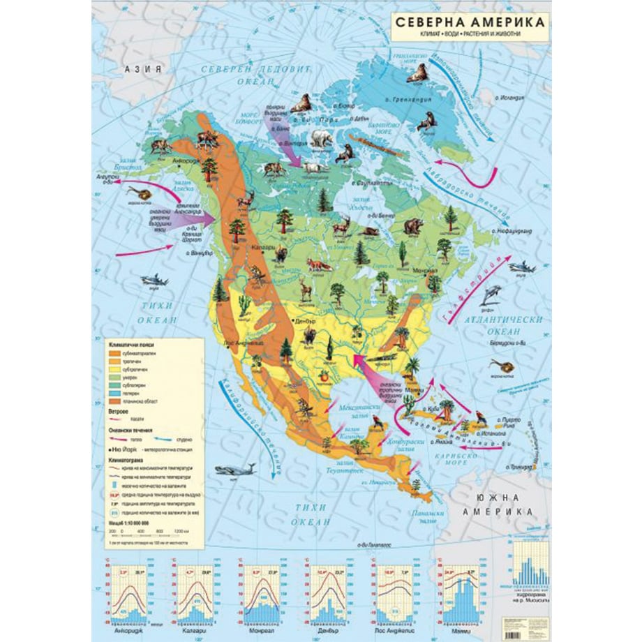 Wall map of North America, climate, 140 x 100 cm, laminated