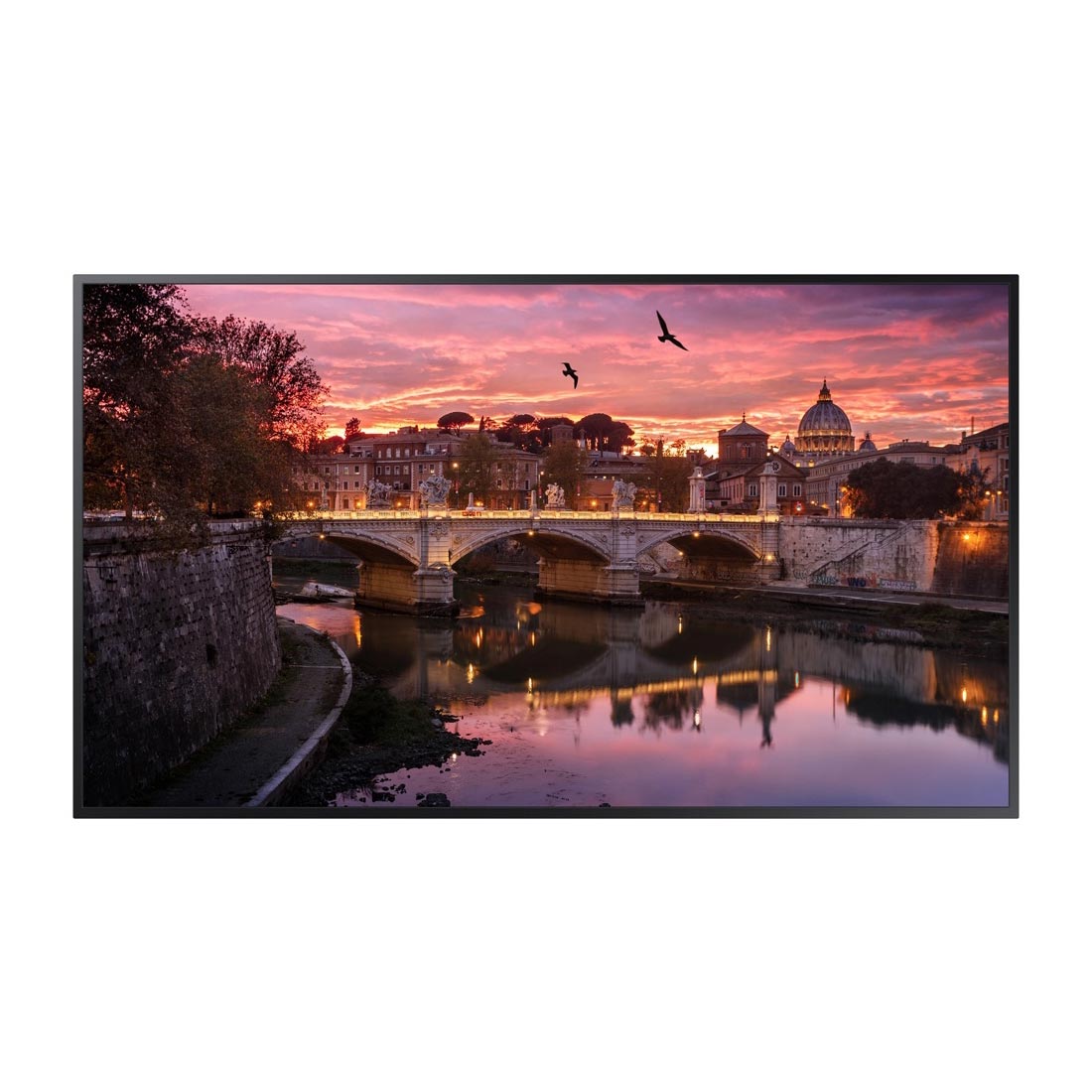 Professional display Samsung, 50'', LED, 8 ms, 350 cd/m2, 3840 x 2160, HDMI, USB, 16:9