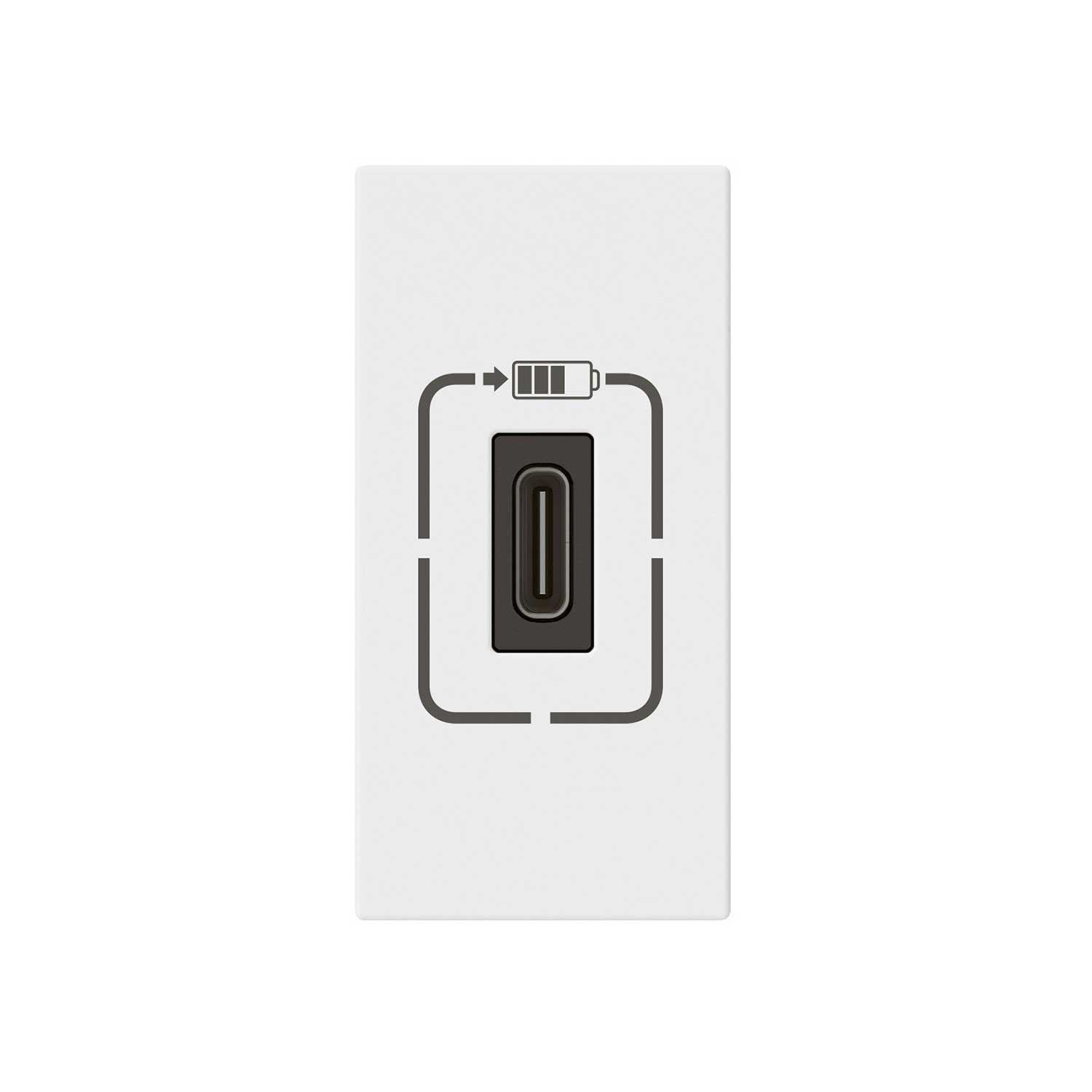 Socket Legrand Mosaic, USB Type-C, with 1 module, white