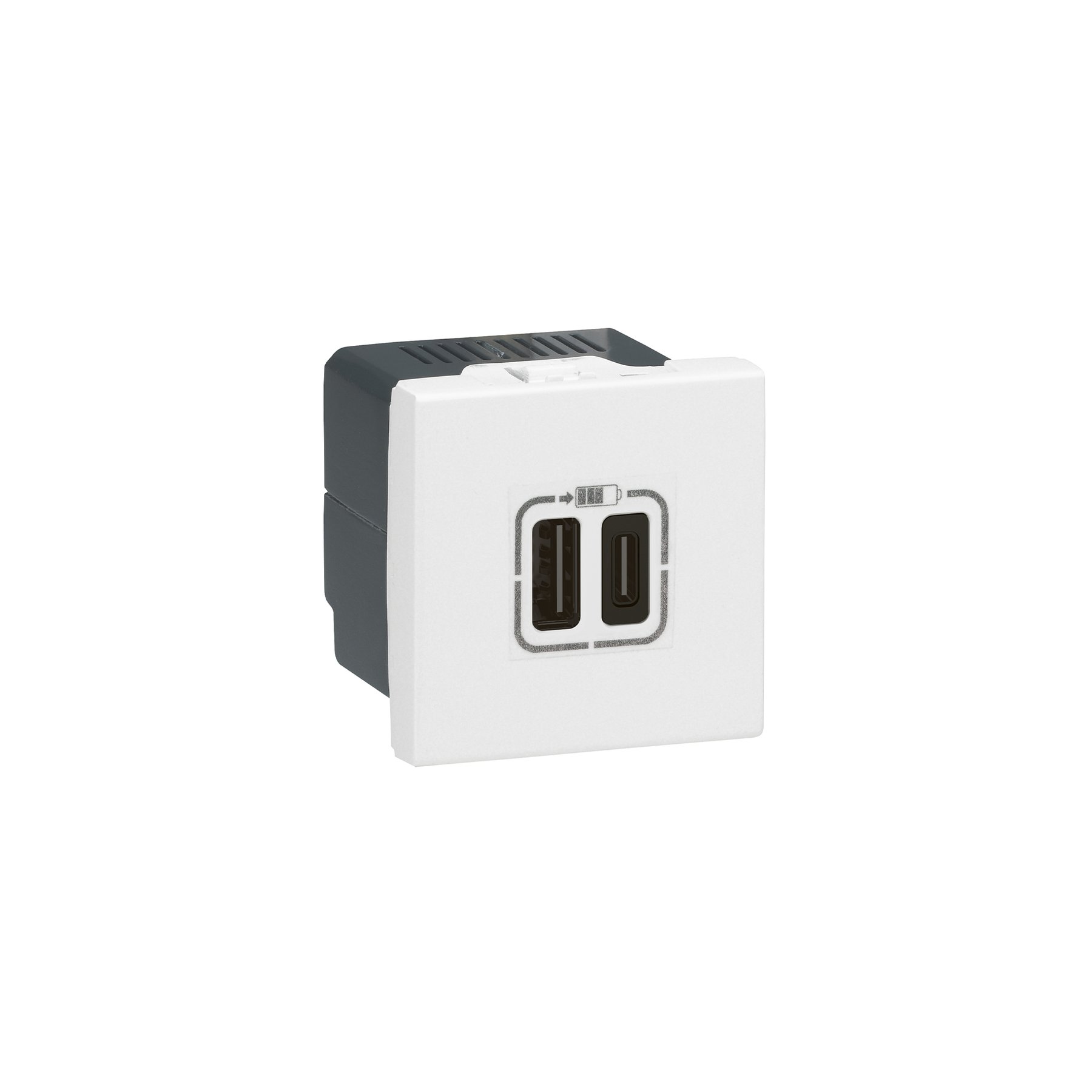 Socket Legrand Mosaic, USB Type-A+C, with 2 modules, white
