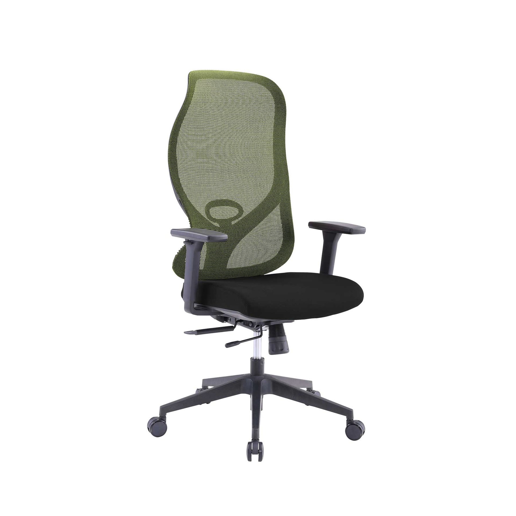 RFG Ergonomic Chair STAR HB, black seat, green backrest