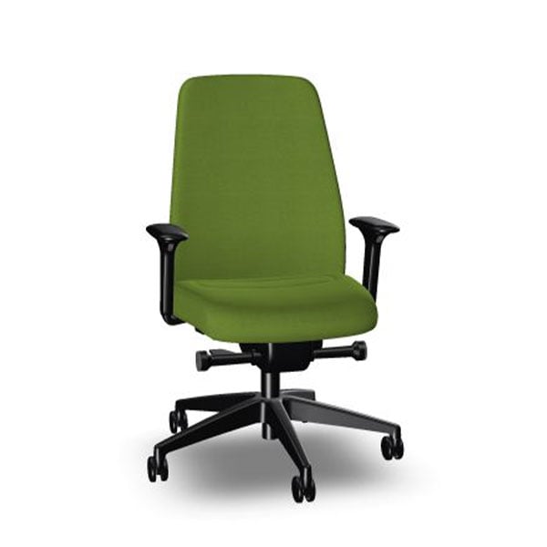 Interstuhl Ergonomic chair Every EV116, green