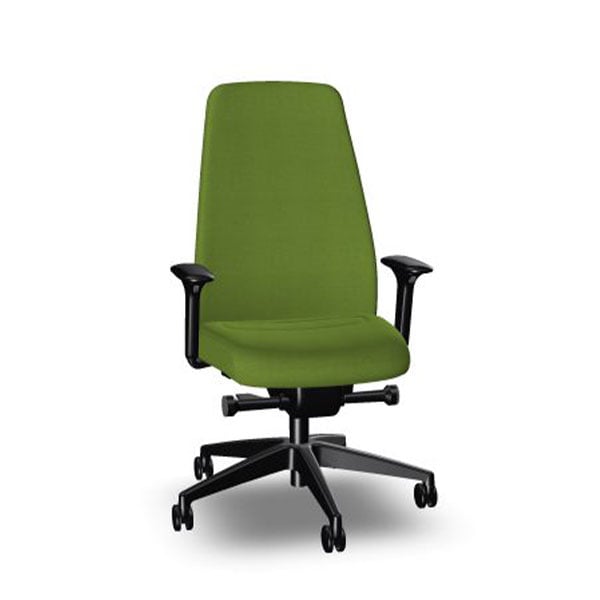Interstuhl Ergonomic chair Every EV117, green