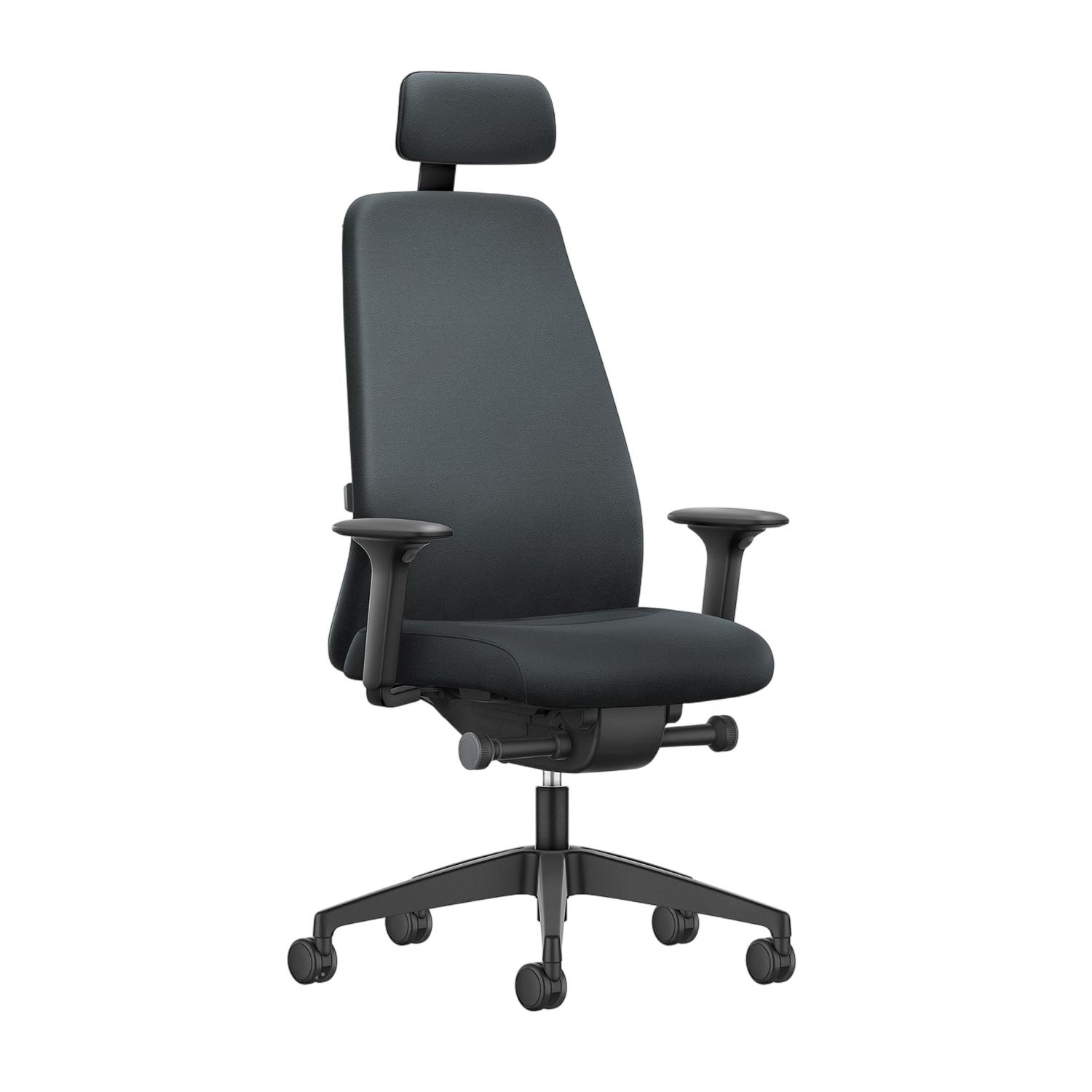 Interstuhl Ergonomic chair Every EV119, gray
