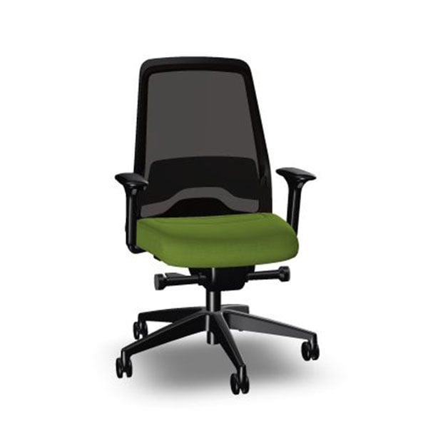 Interstuhl Ergonomic chair Every EV216, green