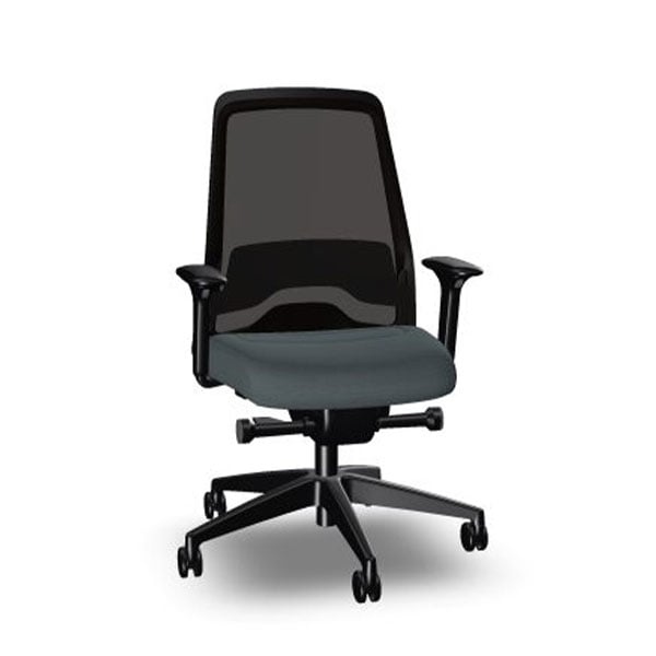 Interstuhl Ergonomic chair Every EV216, gray
