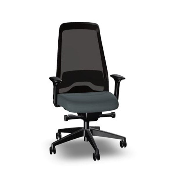 Interstuhl Ergonomic chair Every EV217, gray