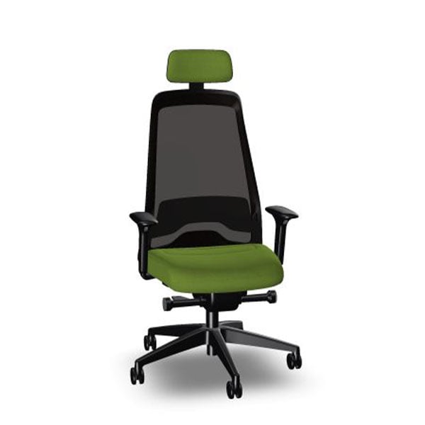 Interstuhl Ergonomic Chair Every EV218, green