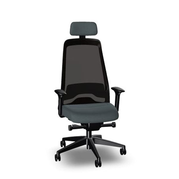 Interstuhl Ergonomic chair Every EV218, grey