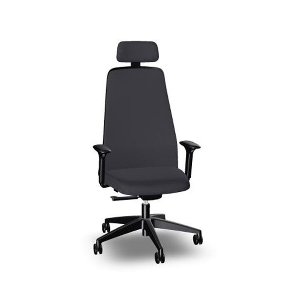 Interstuhl Ergonomic Chair EV353, gray