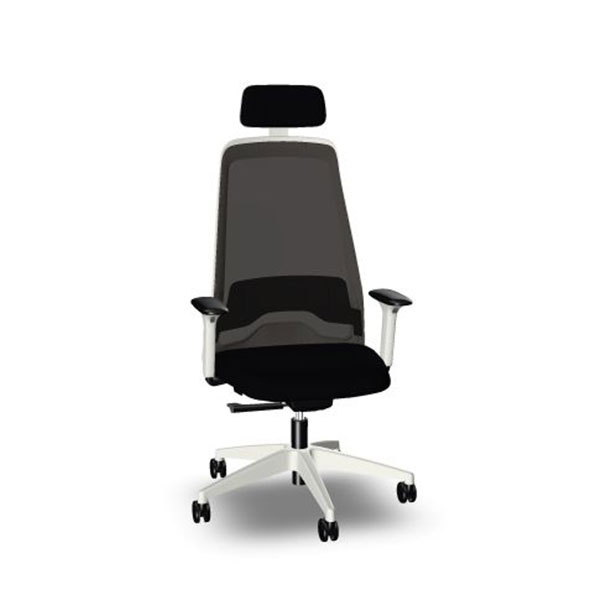 Interstuhl Ergonomic chair EV253, black