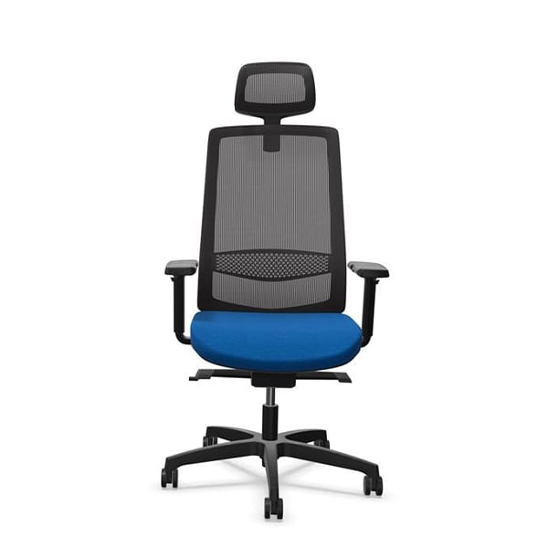 Rim Ergonomic chair Victory VI 1401, blue, assembled sample