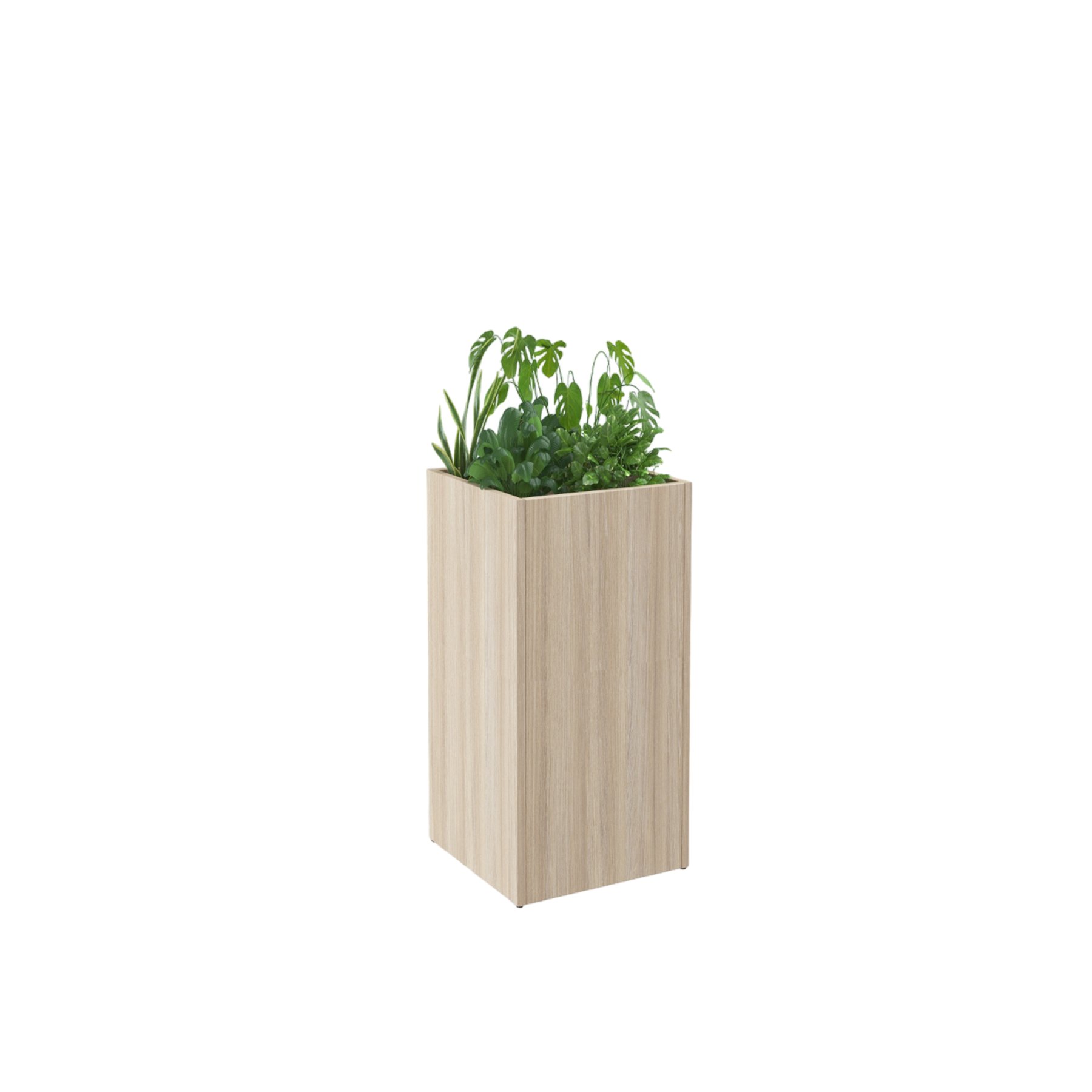 RFG Podium module PDM 5, planter, 400 x 400 x 800 mm, light oak