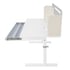 RFG Desk with adjustable height Ergo Light 1003A, gray