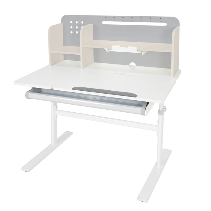 RFG Desk with adjustable height Ergo Light 1003A, gray