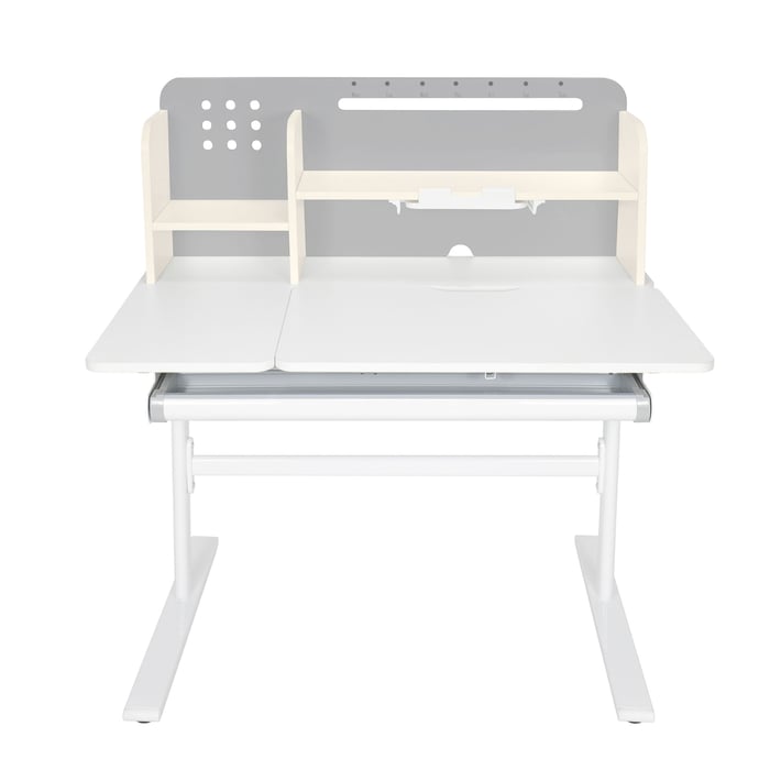 RFG Desk with adjustable height Ergo Light 1003A, gray