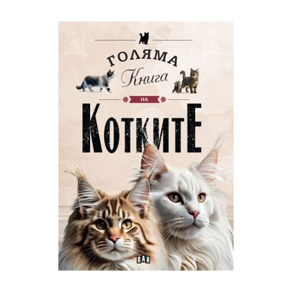 Book The Big Book of Cats
