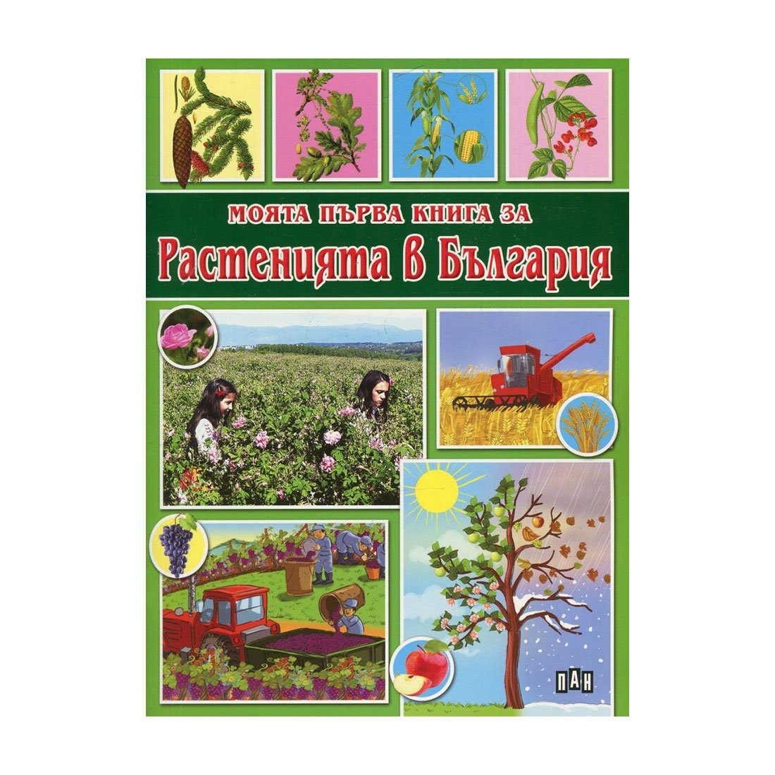 My First Book of Plants in Bulgaria