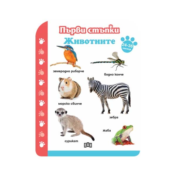 First Steps - Animals, from 24 to 36 months
