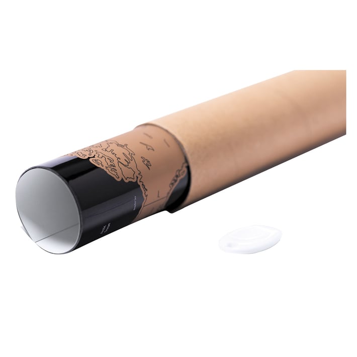 World Map Palsy, laminated, 43 x 28.5 cm