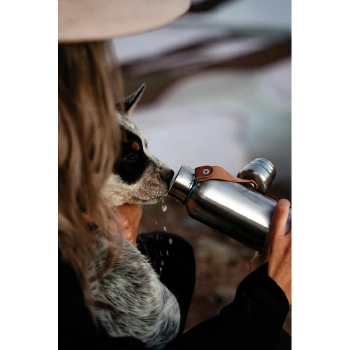 Термос Black+Blum, 500 ml, тюркоаз