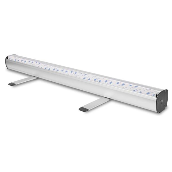 Roll Banner Standard, 85 x 200 cm