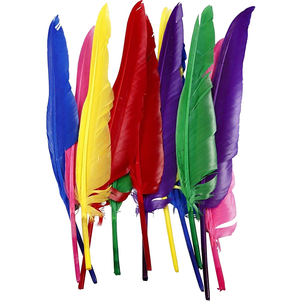 Creativ Company Feathers, 13 cm, 6 colors, 48 pieces