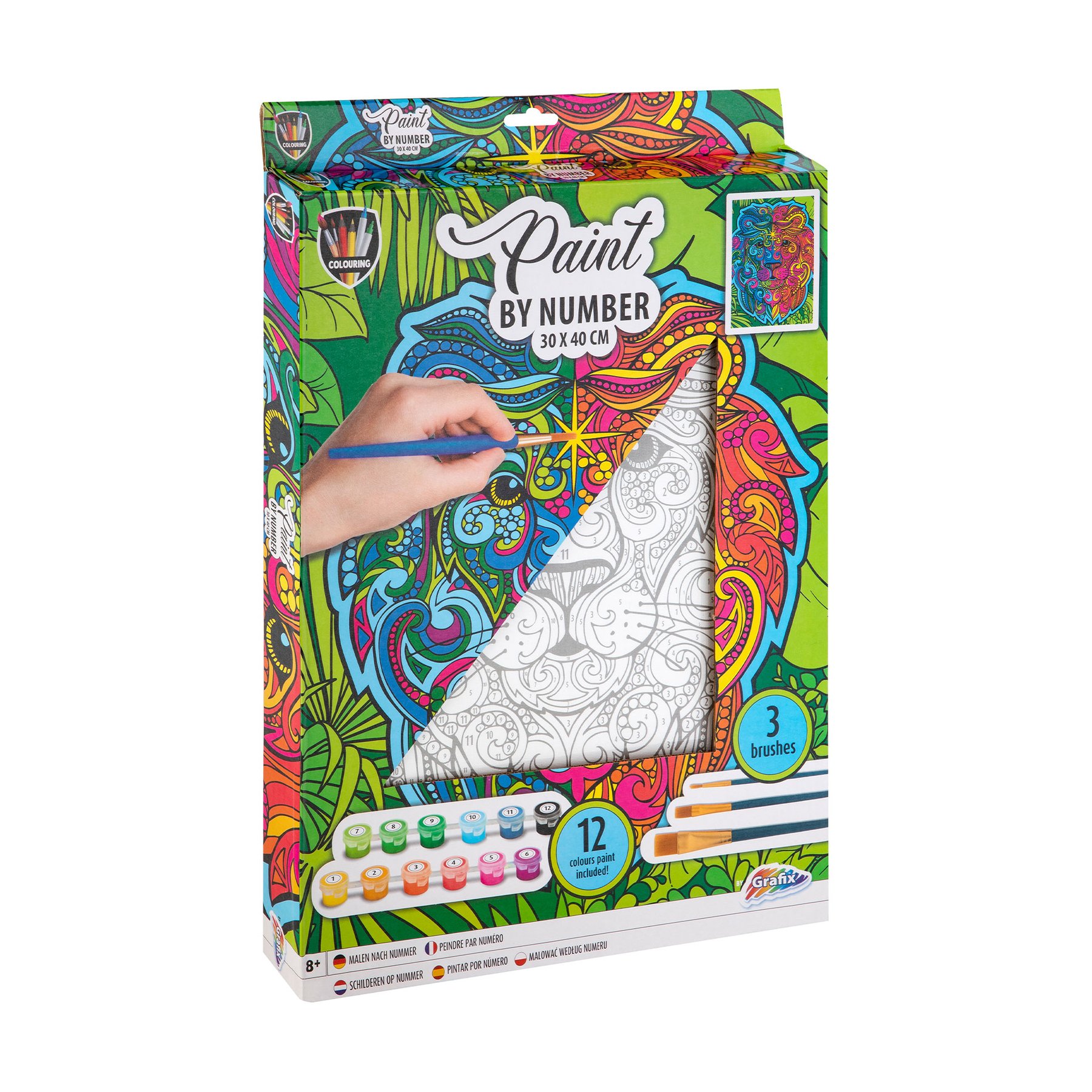 Moxy Paint by numbers canvas Lion, with brushes and paints