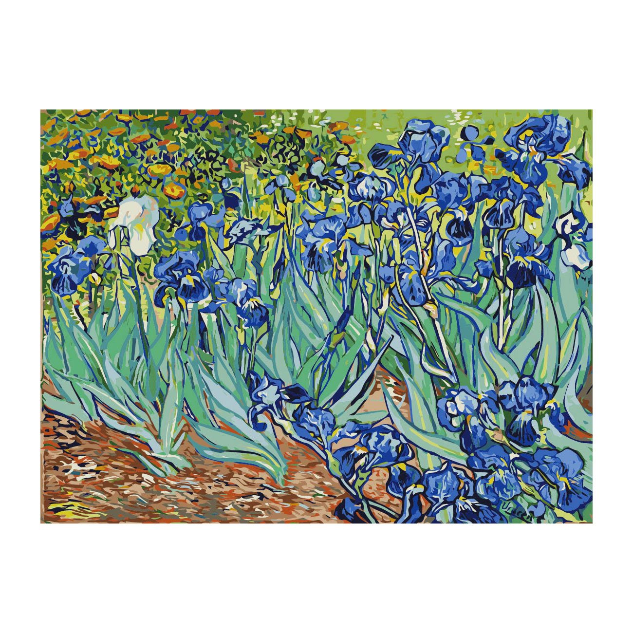 Foska Paint-by-numbers set Irises, 40 x 50 cm