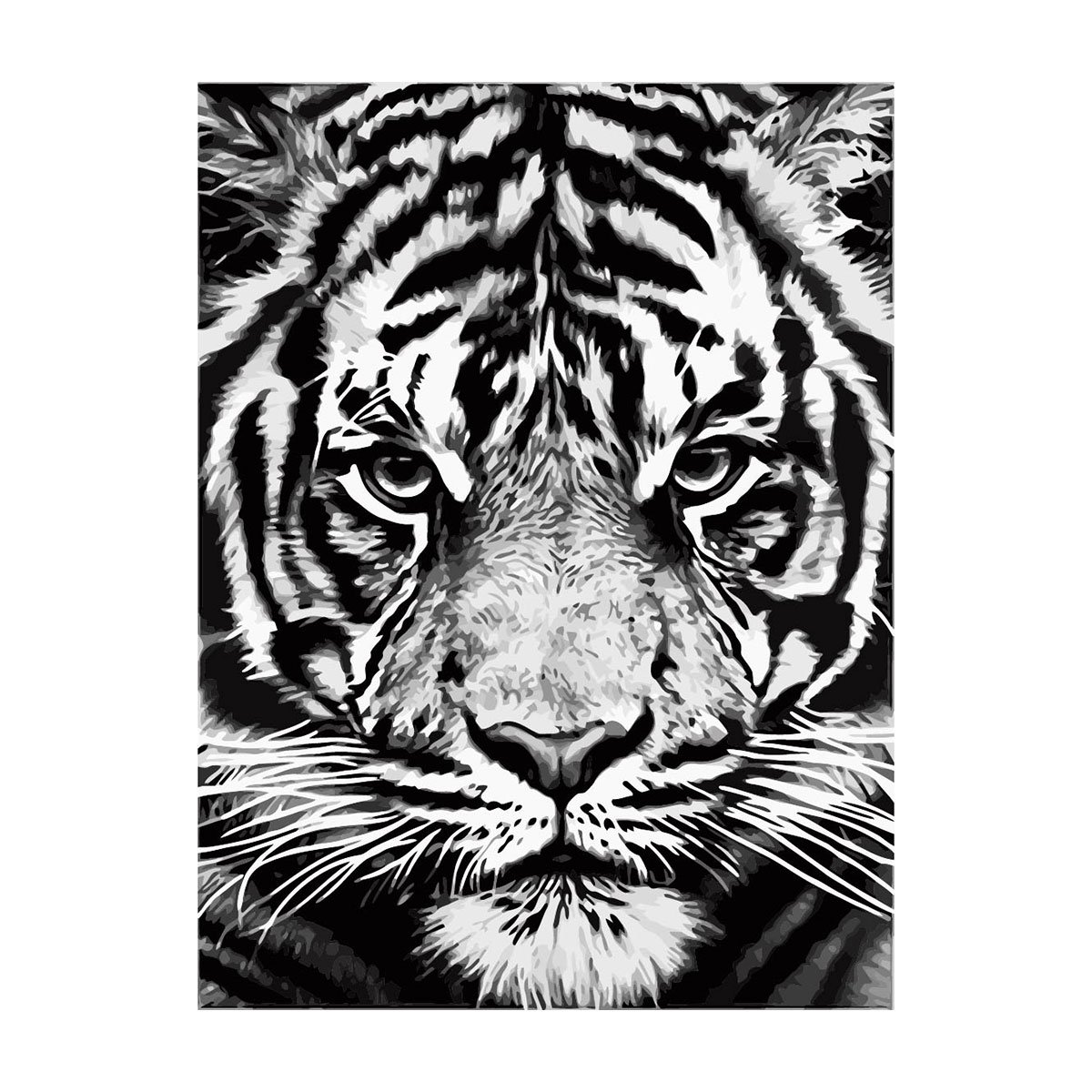 Foska Paint by numbers kit White Tiger, 40 x 50 cm