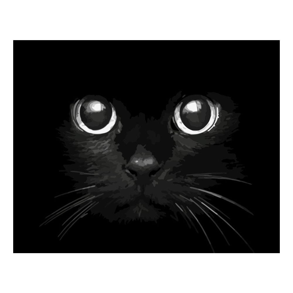 Foska Paint-by-numbers set Cat Eyes, 40 x 50 cm