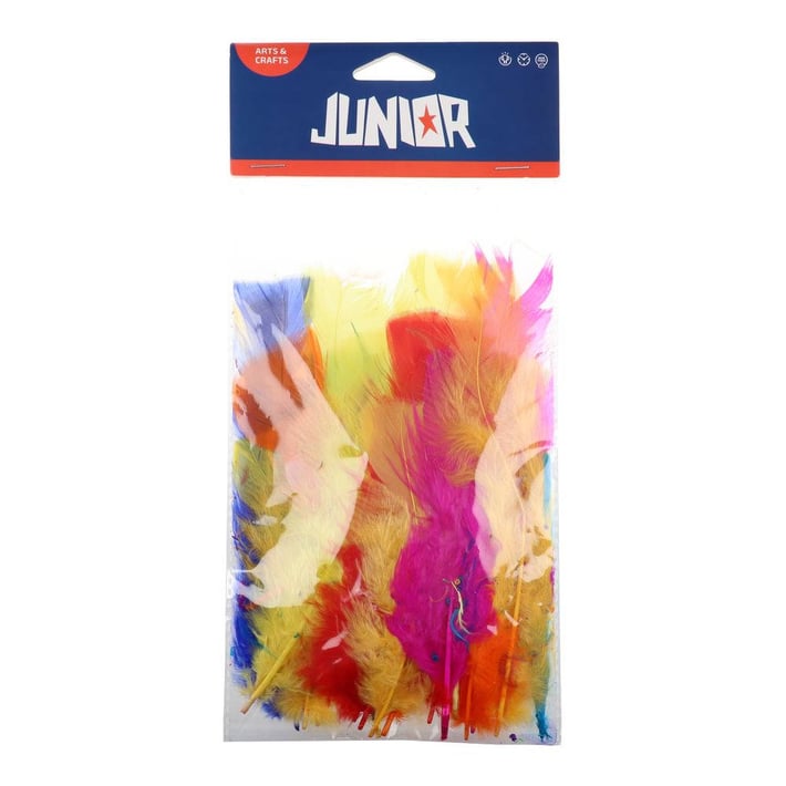 Пера за декорация Junior, цветни, 24 броя