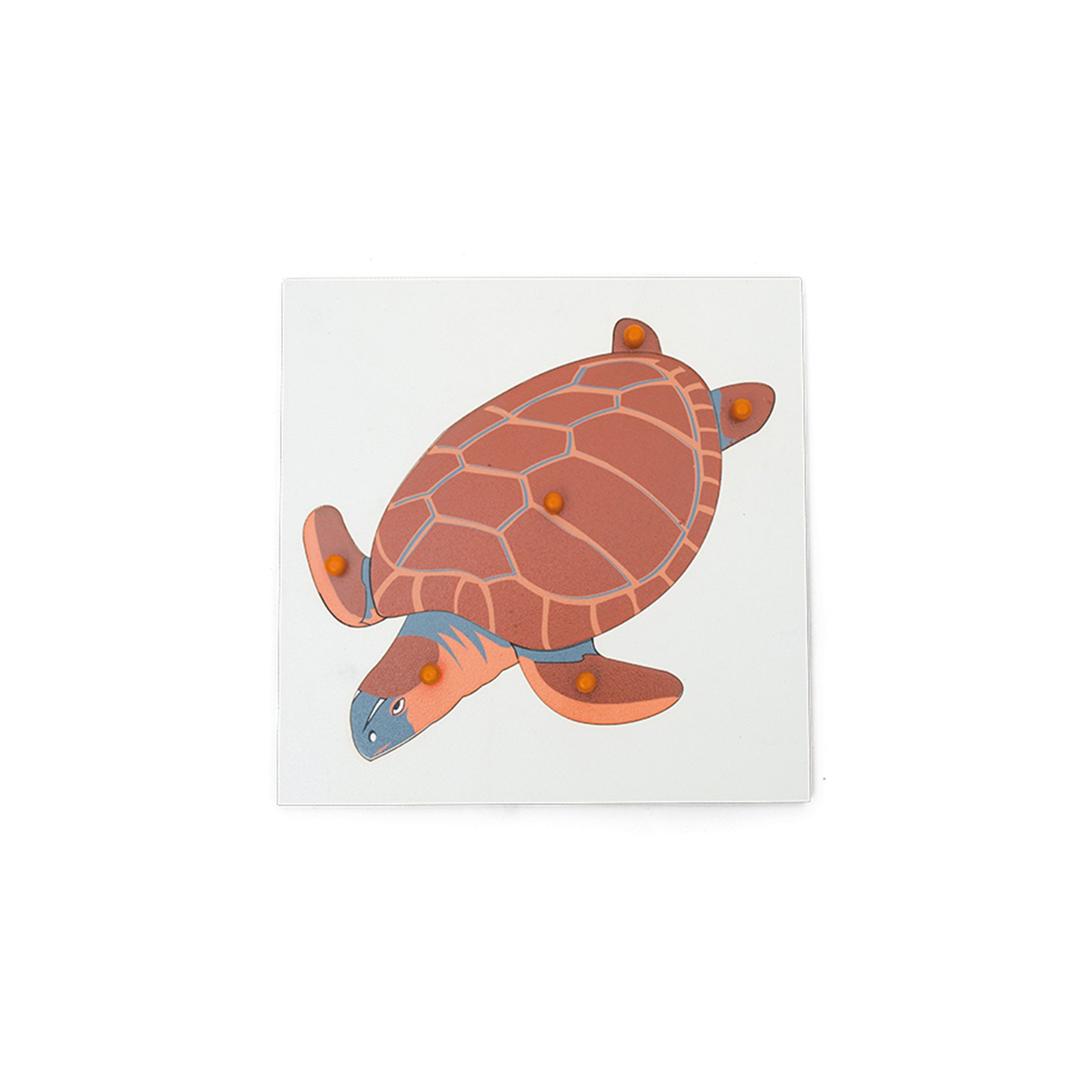 Nowa Szkola Puzzle Turtle, wooden, 6 pcs