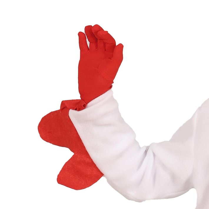 Костюм на Пиле, за 10-12 годишни деца