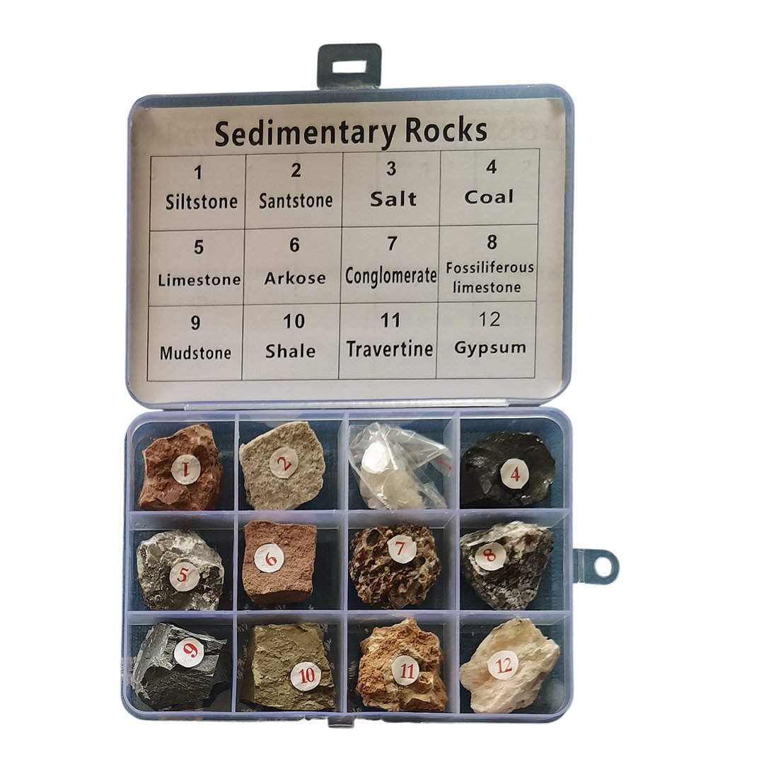 Gelsonlab Sedimentary rock collection