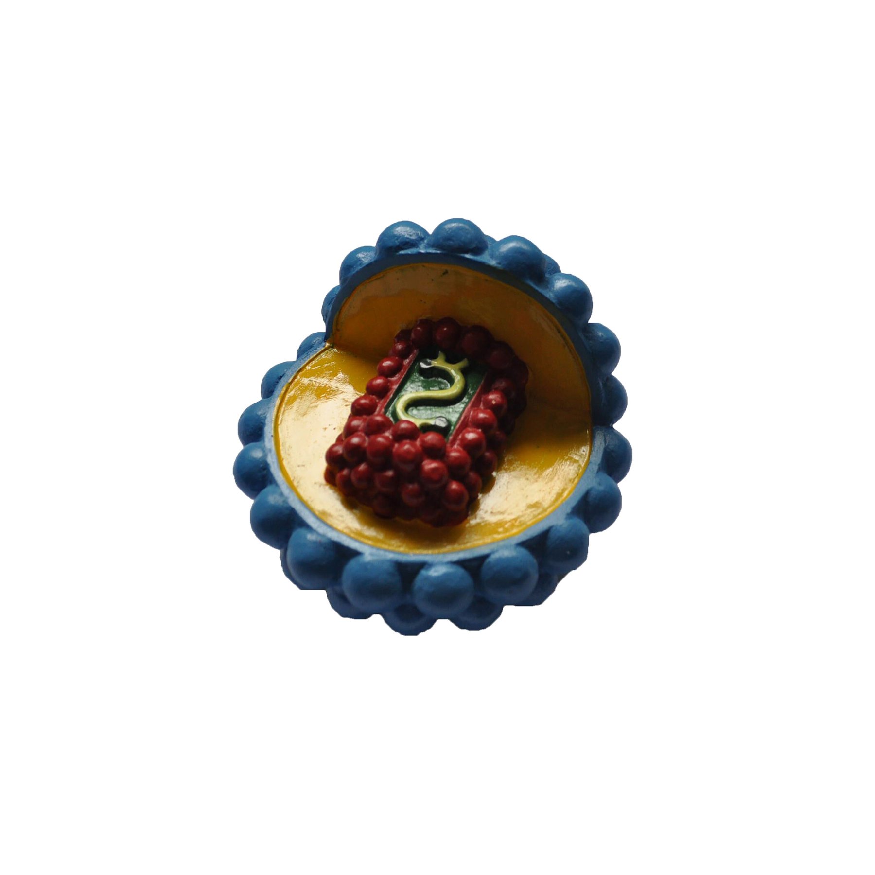 Nowa Szkola Model of HIV virus