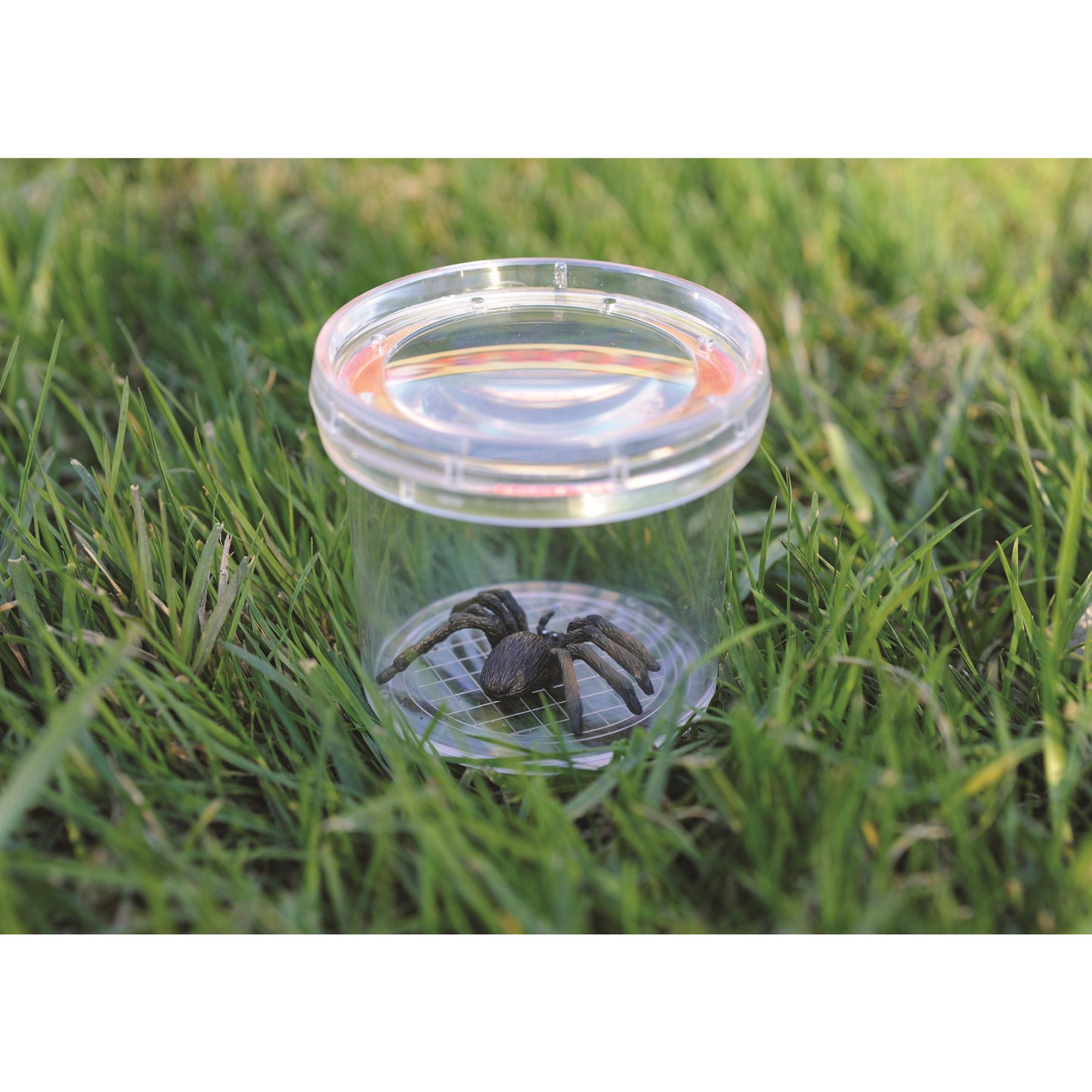 Learning Resources Insect observation jar