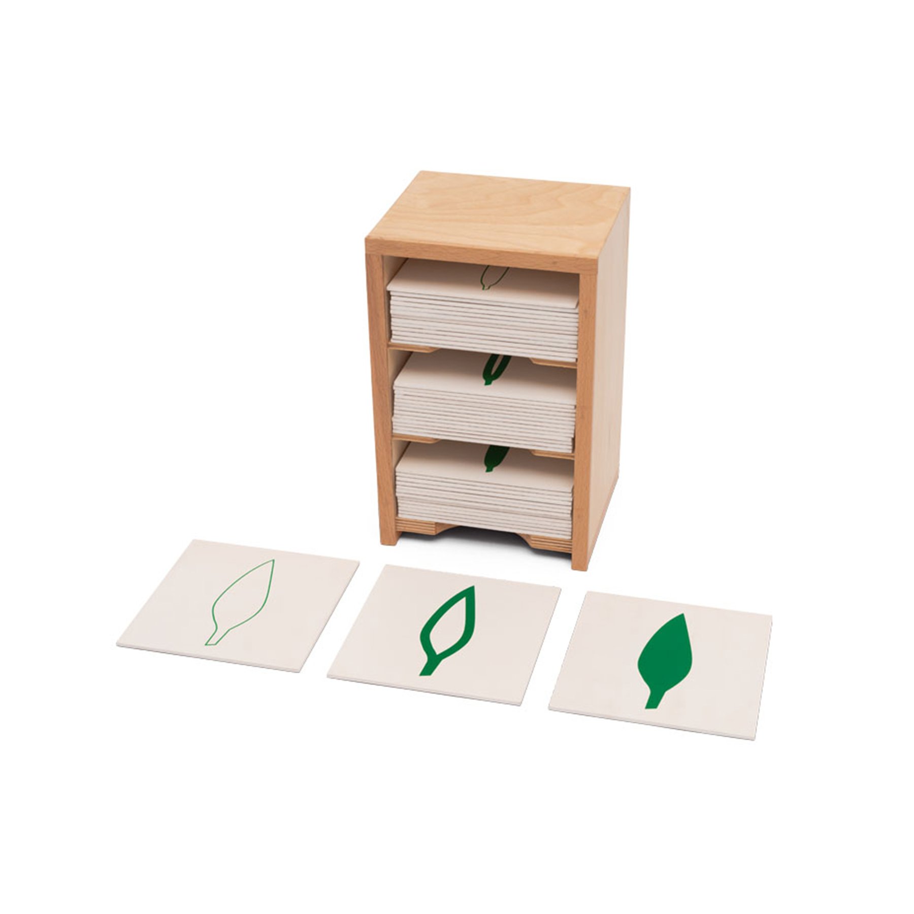 Nowa Szkola Cabinet with 14 botany cards