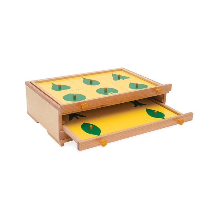 Nowa Szkola Montessori cabinet, botanical, wooden, 47.5 x 14 x 32.5 cm