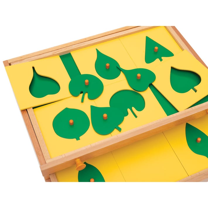 Nowa Szkola Montessori cabinet, botanical, wooden, 47.5 x 14 x 32.5 cm