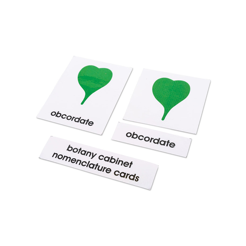 Nowa Szkola Botanical cards Montessori, with labels
